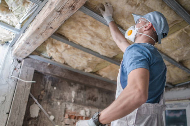 Best Residential Insulation in St Charles, MO