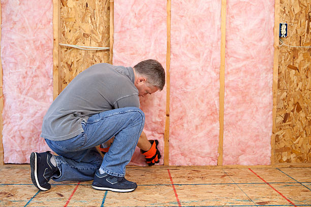 Best Insulation Installation Services in St Charles, MO
